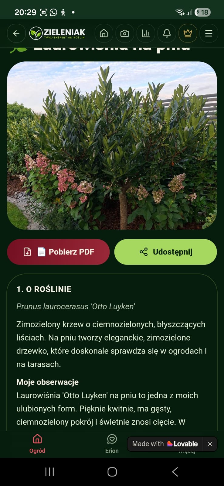 Karta rośliny w Zieleniaku