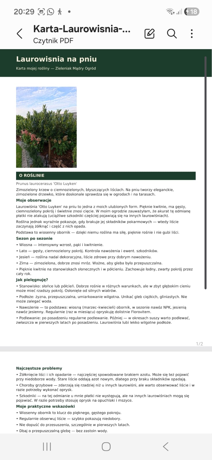 Karta rośliny zapisana jako PDF